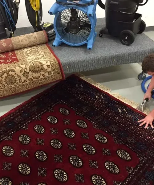 PROFESSIONAL AREA RUG CLEANING